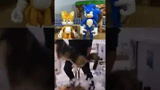 Соник и Тейлз реагируют на плюшевую игрушку 😳