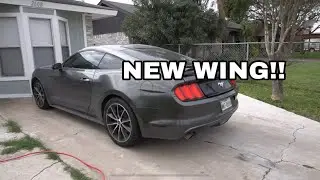 SISTERS MUSTANG ПОЛУЧАЕТ СПОЙЛЕР PP1!!