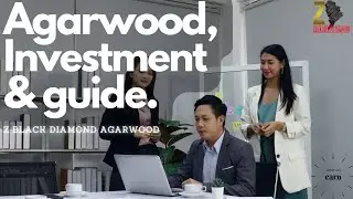 Agarwood investment | A comrehensive Guide | Z Black Diamond Agarwood LLP