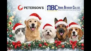 Поздравляем с праздником от Колледжа поведения животных и компании Peterson’s! 🎄 Отпразднуйте это...
