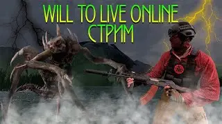 PVP, РОЗЫГРЫШИ, ФАРМ в WILL TO LIVE ONLINE