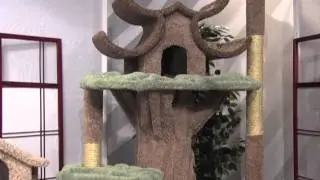 New Cat Condos - Showcase Marketplace Television Spot