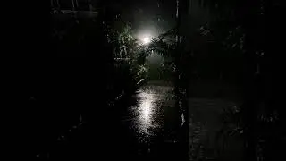 Night Rain💦 #status #statusvideo #viral #youtube #youtubeshorts #crush ..&hearts;️☄️