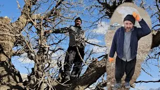 One day, I went to the mountains with Mr. Ahmad and Mr. Isa to collect firewood.