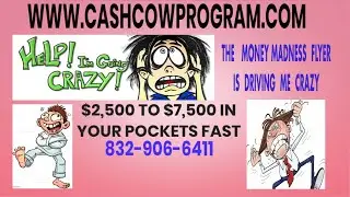 *Millionaire mailer pro flyers*, 98 Unlimited Flyers, Work From Home Mailing Flyers Program, WTM PUB