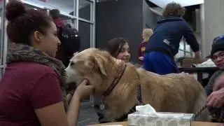 PAWS at the University of Minnesota