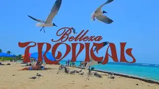 Fran Lorenz - Belleza Tropical (Visualizer)