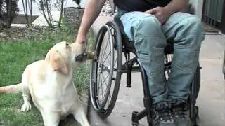 Video Rollstuhlzubeh&ouml;r - Rollimoden und Accessoires f&uuml;r Rollstuhlfahrer