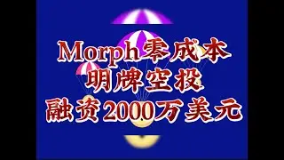 【零成本明牌空投】morph融资2000万美元，测试网详细交互教程