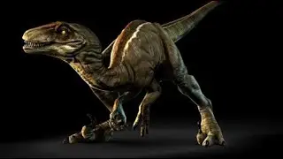 Dinossauros Pr&eacute; Hist&oacute;ricos Que Se Destacaram | Velociraptor