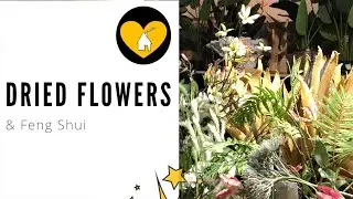 Dried Flowers & Feng Shui