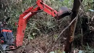 Live: Battle of the Backyard: Excavator vs Nature #2 | God of Ruin akkiro0m