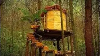 Building a Treehouse in the Wild: From Foundation TimberHomes VermontWilderness  Wood Crafting |