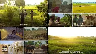 Agroforestry and Biodiversity Conservation Project - WWF