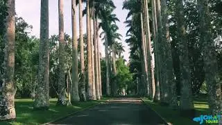 Full video: Inside Aburi Botanical Gardens