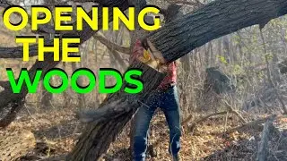 Wild Woods... Time to Make a Path