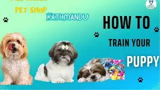 Best pet store in kathmandu