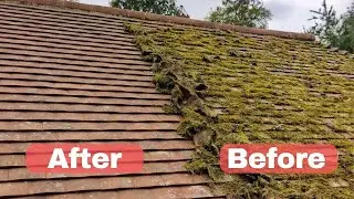 Satisfying Roof Moss Removal Project (Moss Apocalypse)