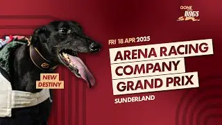 The Arena Racing Company Grand Prix 2025 New Destiny