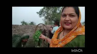 आज हमारे प्लॉट पर 💐💐