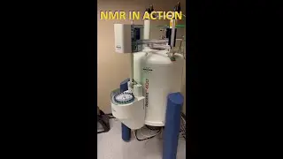 Analyzing Samples with a 400 MHz NMR #Shorts