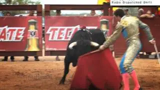 Bullfighting in South Texas