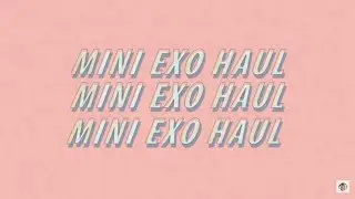 Mini EXO Haul | Chanyeol Banner, Fanmade Stickers, Japan good