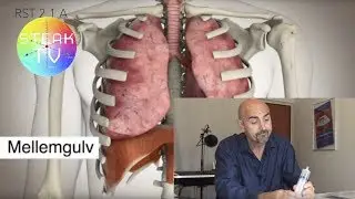 RST 2.1.A  Stemmetr&aelig;ning // Den dybe vejrtr&aelig;kning // Die tiefe Atmung // Speech/Singing Training