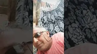 E DANONE &Eacute;