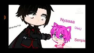 Suffering as I dubbed the UwU Cat (Rare Exception)