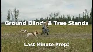 Ground Blinds & Tree Stands | Last Minute Hunting Prep