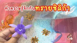 ทำความรู้จักกับทรายซิลิก้า#ทรายซืลิก้าคืออะไร#เม็ดดูดความชื้น#ทรายอบดอกไม้สด