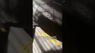 Herman Miller x Logitech Embody VS Secretlab TITAN Evo Gaming Chair x Lamborghini Deluxe Giallo Auge