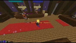 Hypixel Skyblock funny