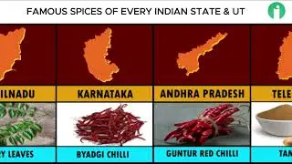 🌶️ Famous Spices of Every Indian State & UT | Spicy Map of India | Infopediainfo
