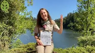 Nature Nearby Scavenger Hunt with East Bay Regional Park District