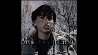 Outsiders edit Jonny Cade! #outsiders ￼#ralphmacchio #jonnycade #outsidersedit #iloveralph