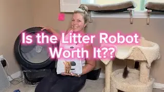 Is the litter robot cat litter box worth it?