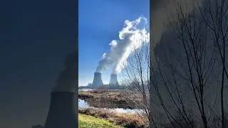 Nuclear waste eating fungi: Nature's Gift! #shorts #tamil