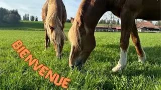 Bienvenue