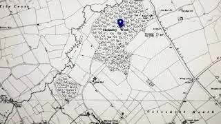 Chelmsley Wood Over the Time