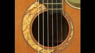 Guitar Gallery presents Doolin Madagascar OM Guitar