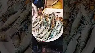 Big Coral fish cutting skills 🐬🔥 #short  #shots #youtube #youtubeshorts