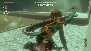 TOTK - Rasitakiwak Shrine | Raw footage first time doing shrine