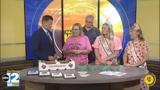 Shiawassee Strawberry Festival 2025