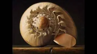 Antonio Vivaldi: Concerto for 2 horns, strings & b.c. in F major (RV 538) - I. Allegro II. Largo