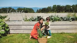 growing my summer vegetable garden | amazing places in switzerland | slow living vlog