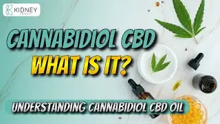 What is Cannabidiol CBD? | Unveiling The Properties Of Cannabidiol CBD Oil