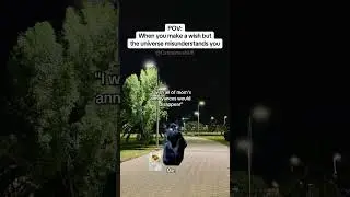 CAT MEMES 🐱When you make a wish but... #catmemes #relatable #relationship