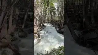 Best Waterfall! #yosemite #yosemitenationalpark #yosemitevalley #yosemitefalls #bestwaterfalls
